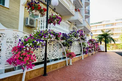 a balcony with flowers on the side of a building at Sunny studio in Sweet Home Complex in Sunny Beach