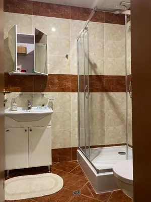 a bathroom with a shower and a sink and a toilet at Apartment in Sveti Vlas in Sveti Vlas