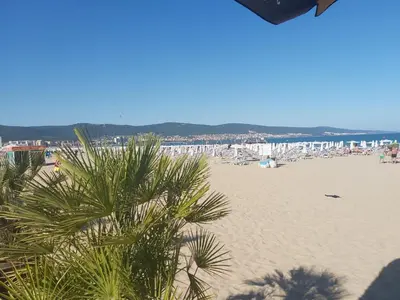 a palm tree on a beach with buildings in the background at Apartmány Rose Residence Nesebar in Sunny Beach