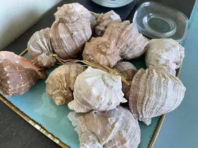 a pile of peanuts sitting on a plate at Apart hotel Gallery A in Sunny Beach