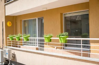 a row of green potted plants on a window sill at Sea grape wine flat in old center in Varna City