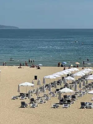 a bunch of chairs and umbrellas on a beach at Apart hotel Gallery Studio in Sunny Beach