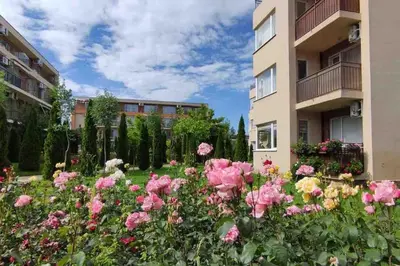 a garden with pink roses in front of a building at Apartment Ferienunterkunft Strandnähe mit Pools in Sunny Beach