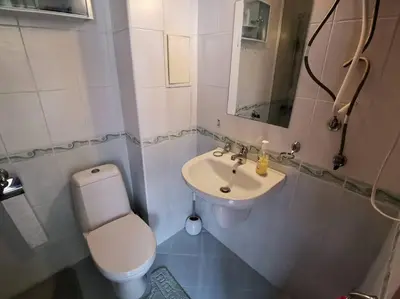 a small bathroom with a toilet and a sink at Homely, 2 Bed Apt, 4* Vineyards in Kableshkovo